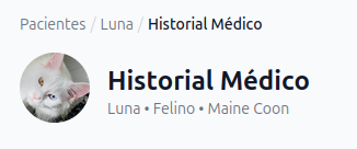 Migas de pan — barra de navegación jerárquica en la parte superior del contenido mostrando la ruta "Pacientes / Luna / Historial Médico" con cada nivel como enlace activo